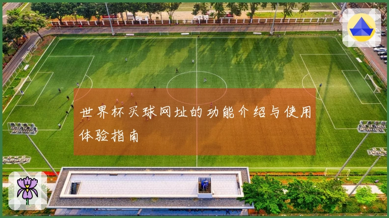 世界杯买球网址的功能介绍与使用体验指南