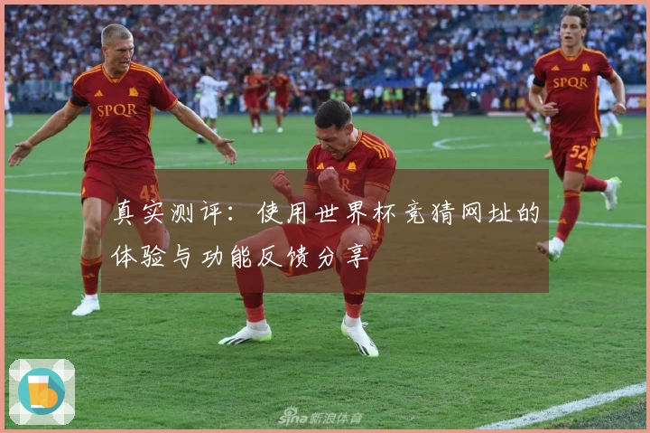 真实测评：使用世界杯竞猜网址的体验与功能反馈分享