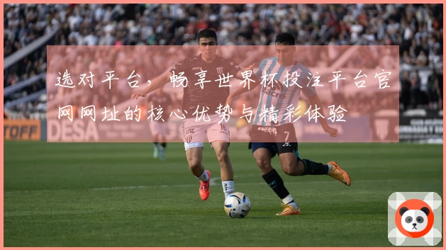 选对平台，畅享世界杯投注平台官网网址的核心优势与精彩体验