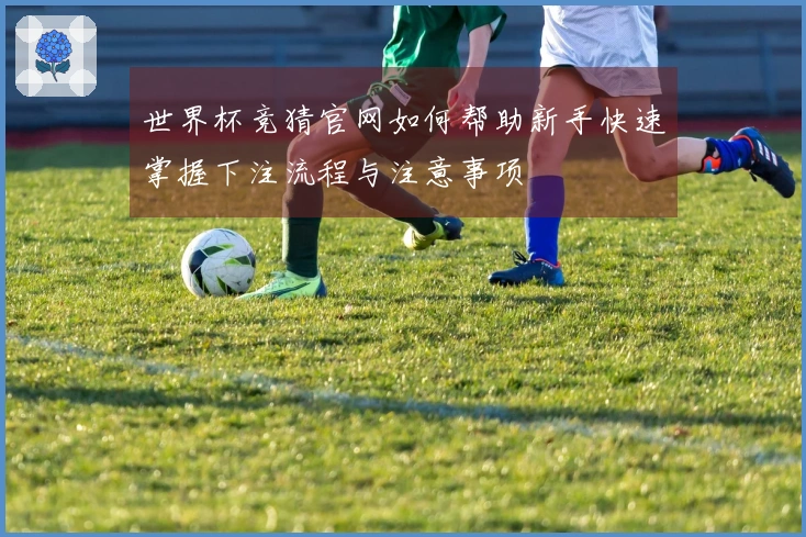 世界杯竞猜官网如何帮助新手快速掌握下注流程与注意事项
