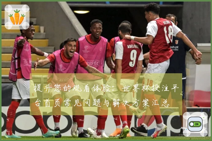 提升您的观看体验：世界杯投注平台首页常见问题与解决方案汇总