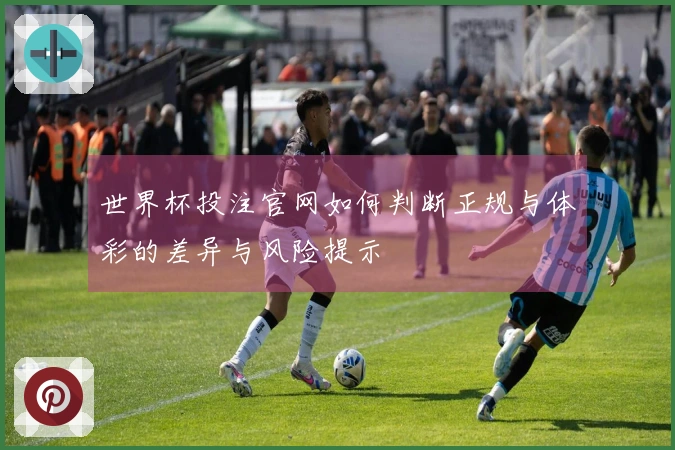 世界杯投注官网如何判断正规与体彩的差异与风险提示
