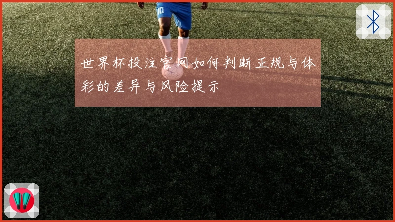 世界杯投注官网如何判断正规与体彩的差异与风险提示