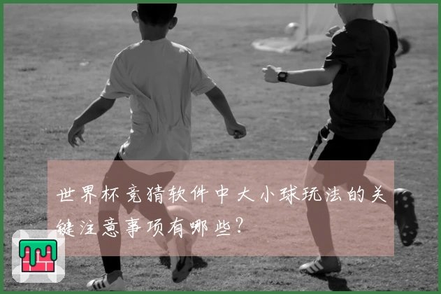 世界杯竞猜软件中大小球玩法的关键注意事项有哪些？