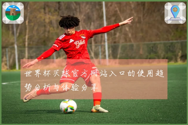 世界杯买球官方网站入口的使用趋势分析与体验分享