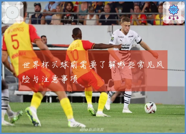 世界杯买球前需要了解哪些常见风险与注意事项