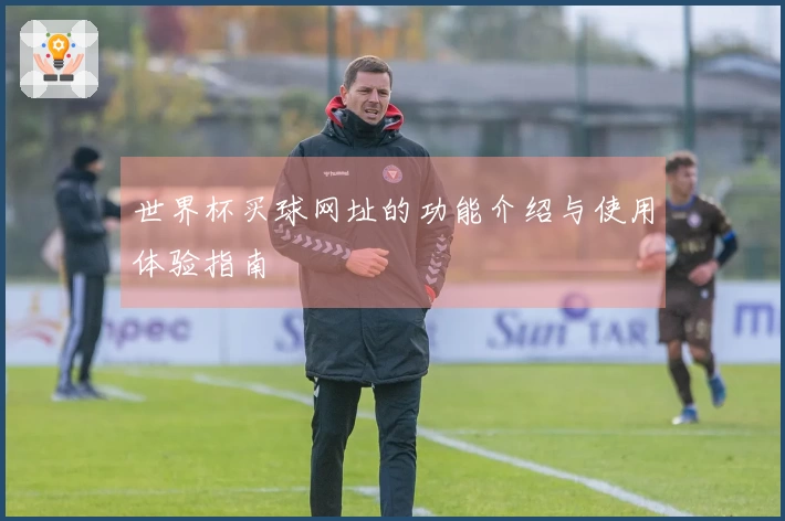 世界杯买球网址的功能介绍与使用体验指南