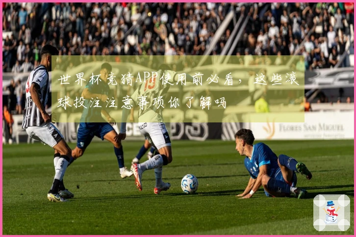 世界杯竞猜APP使用前必看，这些滚球投注注意事项你了解吗