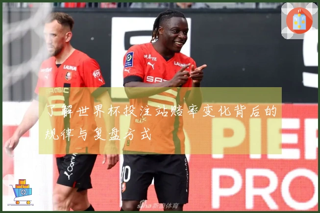 了解世界杯投注站赔率变化背后的规律与复盘方式