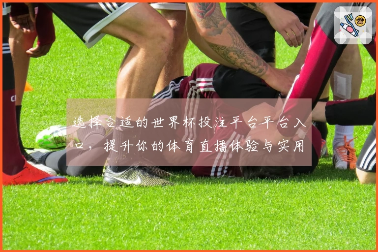 选择合适的世界杯投注平台平台入口，提升你的体育直播体验与实用功能对比分析