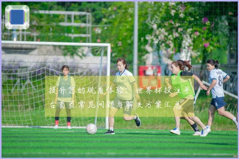 提升您的观看体验：世界杯投注平台首页常见问题与解决方案汇总