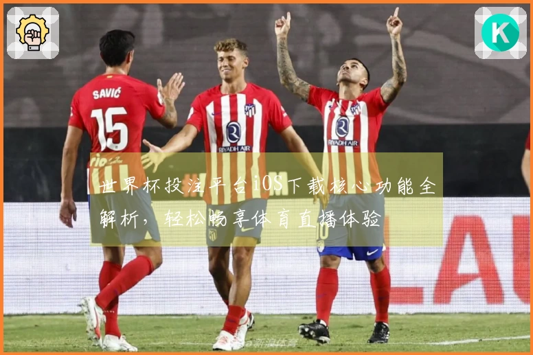 世界杯投注平台iOS下载核心功能全解析，轻松畅享体育直播体验
