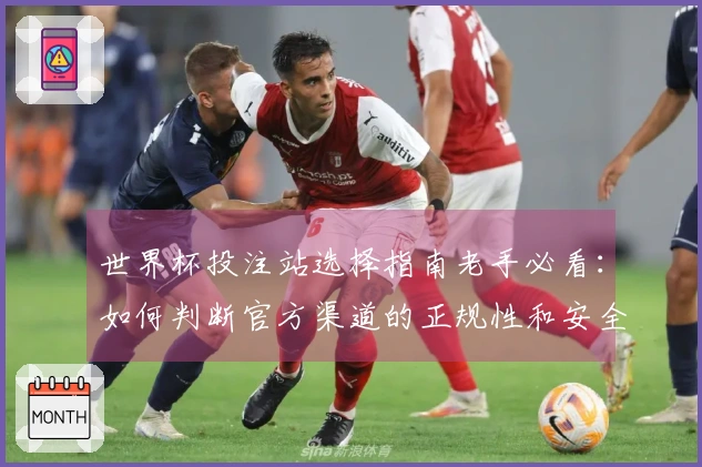 世界杯投注站选择指南老手必看：如何判断官方渠道的正规性和安全性