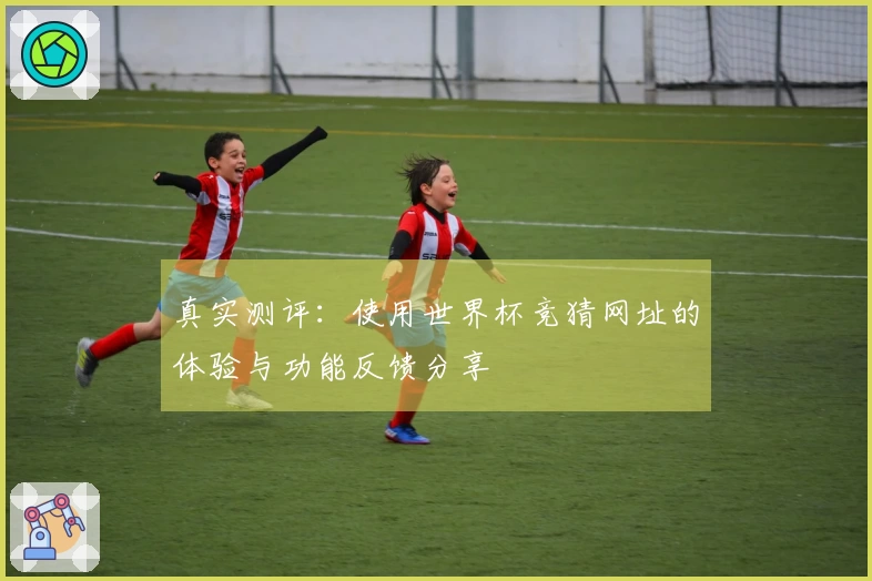 真实测评:使用世界杯竞猜网址的体验与功能反馈分享