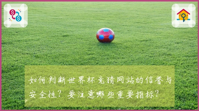 如何判断世界杯竞猜网站的信誉与安全性？要注意哪些重要指标？